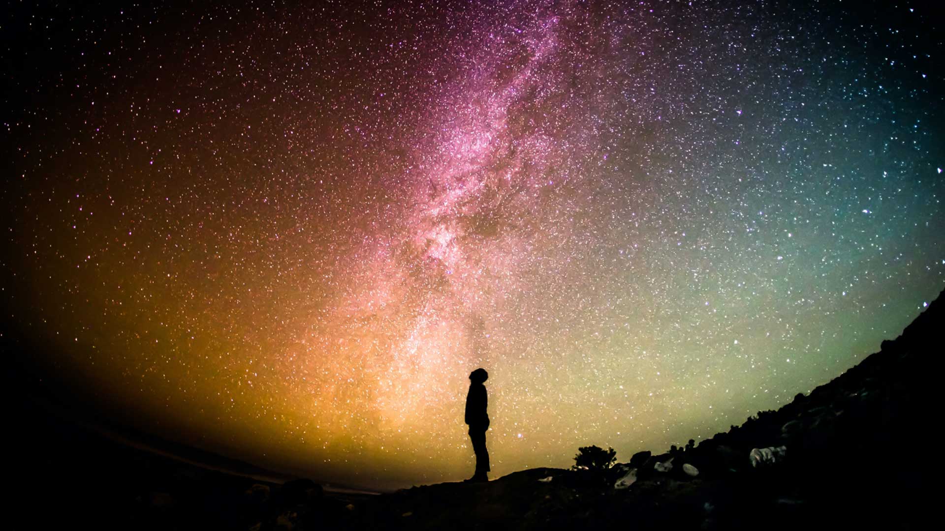 Star gazing cover