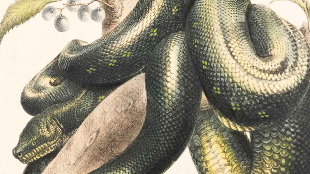 Genesis 4:7