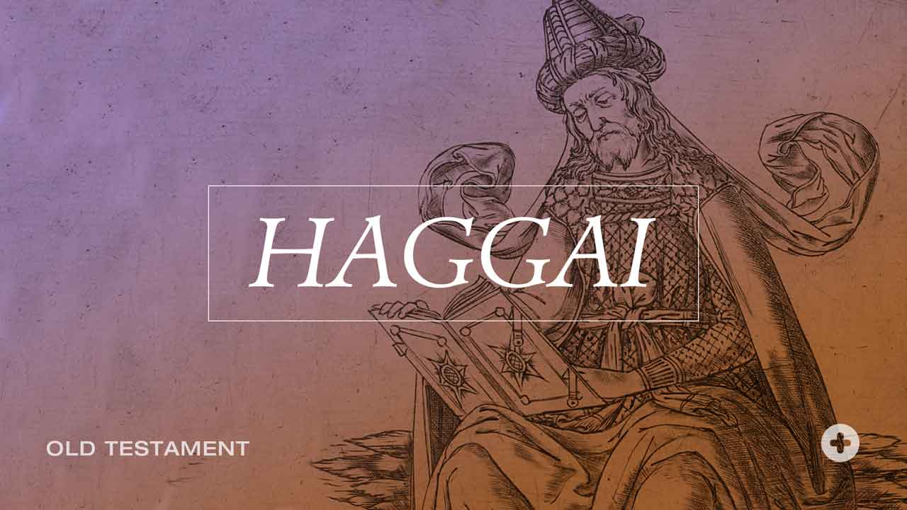 Haggai 2.20-23 The War of the Chosen
